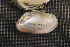  ( - MwalSuw014)  @11 [ ] CreativeCommons - Attribution Non-Commercial No Derivatives (2014) Nathan A. Johnson USGS