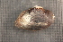  ( - MwalSuw014)  @11 [ ] CreativeCommons - Attribution Non-Commercial No Derivatives (2014) Nathan A. Johnson USGS