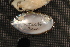  ( - MsimOch004)  @11 [ ] CreativeCommons - Attribution Non-Commercial No Derivatives (2018) Nathan A. Johnson United States Geological Survey