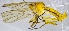  (Empis trigramma - AZ2E)  @13 [ ] CreativeCommons  Attribution (by) (2019) Emma Wahlberg Swedish Museum of Natural History
