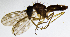  ( - BG2E)  @11 [ ] CreativeCommons  Attribution (by) (2019) Emma Wahlberg Swedish Museum of Natural History