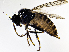  ( - BG5E)  @13 [ ] CreativeCommons  Attribution (by) (2019) Emma Wahlberg Swedish Museum of Natural History
