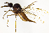  ( - BH2E)  @12 [ ] CreativeCommons  Attribution (by) (2019) Emma Wahlberg Swedish Museum of Natural History