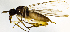  ( - BI3E)  @11 [ ] CreativeCommons  Attribution (by) (2019) Emma Wahlberg Swedish Museum of Natural History