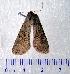  ( - CCDB-22442-A03)  @13 [ ] Unspecified (default): All Rights Reserved  Unspecified Unspecified