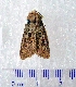  ( - CCDB-22442-A04)  @13 [ ] Unspecified (default): All Rights Reserved  Unspecified Unspecified