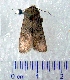  ( - CCDB-22442-A05)  @13 [ ] Unspecified (default): All Rights Reserved  Unspecified Unspecified