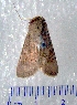  ( - CCDB-22442-A06)  @13 [ ] Unspecified (default): All Rights Reserved  Unspecified Unspecified
