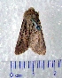  ( - CCDB-22442-A07)  @13 [ ] Unspecified (default): All Rights Reserved  Unspecified Unspecified