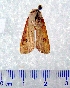  ( - CCDB-22442-B01)  @13 [ ] Unspecified (default): All Rights Reserved  Unspecified Unspecified