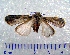 ( - CCDB-22442-D09)  @13 [ ] Unspecified (default): All Rights Reserved  Unspecified Unspecified