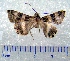  ( - CCDB-22442-G03)  @12 [ ] Unspecified (default): All Rights Reserved  Unspecified Unspecified