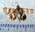  ( - CCDB-22442-G04)  @12 [ ] Unspecified (default): All Rights Reserved  Unspecified Unspecified