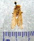  ( - CCDB-22442-H04)  @13 [ ] Unspecified (default): All Rights Reserved  Unspecified Unspecified