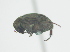  ( - CCDB-29863-C03)  @11 [ ] creative commons  non-commercial only (2017) Servicio Nacional de Sanidad Agraria del Peru Servicio Nacional de Sanidad Agraria del Peru