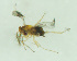  ( - CCDB-30360-E09)  @12 [ ] creative commons  non-commercial only (2018) Servicio Nacional de Sanidad Agraria del Peru Servicio Nacional de Sanidad Agraria del Peru