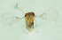  ( - CCDB-30360-F01)  @11 [ ] creative commons  non-commercial only (2018) Servicio Nacional de Sanidad Agraria del Peru Servicio Nacional de Sanidad Agraria del Peru