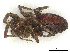  ( - CBG-B00902-B04)  @11 [ ] CreativeCommons - Attribution Share - Alike (2025) CBG Photography Group Centre for Biodiversity Genomics