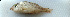 ( - LETked_20121118-A.2)  @11 [ ] CreativeCommons  Attribution Non-Commercial Share-Alike (2012) F. Giancarlo Proyek Biokor, Indonesia