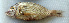  ( - LETked_20121118-B.2)  @11 [ ] CreativeCommons  Attribution Non-Commercial Share-Alike (2012) F. Giancarlo Proyek Biokor, Indonesia