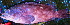  ( - 20131215-7.2)  @11 [ ] CreativeCommons  Attribution Non-Commercial Share-Alike (2013) Philippe Borsa Institut de recherche pour le développement