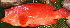  ( - 20131217-17.2)  @11 [ ] CreativeCommons  Attribution Non-Commercial Share-Alike (2013) Philippe Borsa Institut de recherche pour le développement