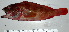  ( - 20150430-F.2)  @11 [ ] CreativeCommons  Attribution Non-Commercial Share-Alike (2015) Philippe Borsa Institut de recherche pour le développement