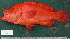  ( - 20071202-2.2)  @11 [ ] CreativeCommons  Attribution Non-Commercial Share-Alike (2007) Philippe Borsa Institut de recherche pour le développement