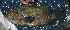  ( - 300317_CD1)  @11 [ ] CreativeCommons - Attribution Non-Commercial Share-Alike (2018) JD Durand Institut de Recherche pour le Developpement, France