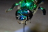  ( - CLV41549)  @11 [ ] CreativeCommons  Attribution Non-Commercial Share-Alike (2021) Carlos Lopez Vaamonde Institut National de la Recherche Agronomique, Zoologie Forestiere
