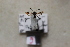  ( - CLV8291)  @11 [ ] CreativeCommons  Attribution Non-Commercial Share-Alike (2021) Carlos Lopez Vaamonde Institut National de la Recherche Agronomique, Zoologie Forestiere