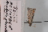  ( - CLV8346)  @11 [ ] CreativeCommons  Attribution Non-Commercial Share-Alike (2021) Carlos Lopez Vaamonde Institut National de la Recherche Agronomique, Zoologie Forestiere