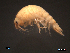  ( - SFGH1-003)  @13 [ ] Unspecified (default): All Rights Reserved  Unspecified Unspecified