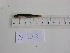 ( - AF0002)  @12 [ ] Unspecified (default): All Rights Reserved  Unspecified Unspecified