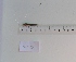  ( - AF0007)  @12 [ ] Unspecified (default): All Rights Reserved  Unspecified Unspecified