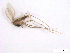  ( - WRBU-SF2011.002)  @13 [ ] CreativeCommons - Attribution (2012) CBG Photography Group Centre for Biodiversity Genomics