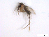  ( - WRBU-SF2011.004)  @13 [ ] CreativeCommons - Attribution (2012) CBG Photography Group Centre for Biodiversity Genomics