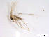  ( - WRBU-SF2011.005)  @12 [ ] CreativeCommons - Attribution (2012) CBG Photography Group Centre for Biodiversity Genomics