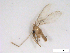  ( - WRBU-SF2011.007)  @13 [ ] CreativeCommons - Attribution (2012) CBG Photography Group Centre for Biodiversity Genomics