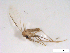  ( - WRBU-SF2011.008)  @12 [ ] CreativeCommons - Attribution (2012) CBG Photography Group Centre for Biodiversity Genomics