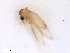  ( - WRBU-SF2011.062)  @12 [ ] CreativeCommons - Attribution (2012) CBG Photography Group Centre for Biodiversity Genomics