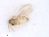  ( - WRBU-SF2011.064)  @12 [ ] CreativeCommons - Attribution (2012) CBG Photography Group Centre for Biodiversity Genomics