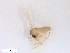  ( - WRBU-SF2011.067)  @12 [ ] CreativeCommons - Attribution (2012) CBG Photography Group Centre for Biodiversity Genomics