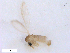  ( - WRBU-SF2011.069)  @12 [ ] CreativeCommons - Attribution (2012) CBG Photography Group Centre for Biodiversity Genomics
