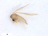  ( - WRBU-SF2011.072)  @12 [ ] CreativeCommons - Attribution (2012) CBG Photography Group Centre for Biodiversity Genomics