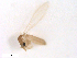  ( - WRBU-SF2011.086)  @12 [ ] CreativeCommons - Attribution (2012) CBG Photography Group Centre for Biodiversity Genomics