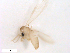  ( - WRBU-SF2011.093)  @12 [ ] CreativeCommons - Attribution (2012) CBG Photography Group Centre for Biodiversity Genomics