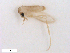  ( - WRBU-SF2011.094)  @12 [ ] CreativeCommons - Attribution (2012) CBG Photography Group Centre for Biodiversity Genomics