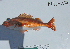  ( - NH-117)  @11 [ ] No Rights Reserved  Unspecified Unspecified