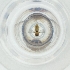  ( - MOZZ00000840A_B8)  @11 [ ] by (2004) Genome Research Ltd as Wellcome Sanger Institute Genome Research Limited operating as Wellcome Sanger Institute
